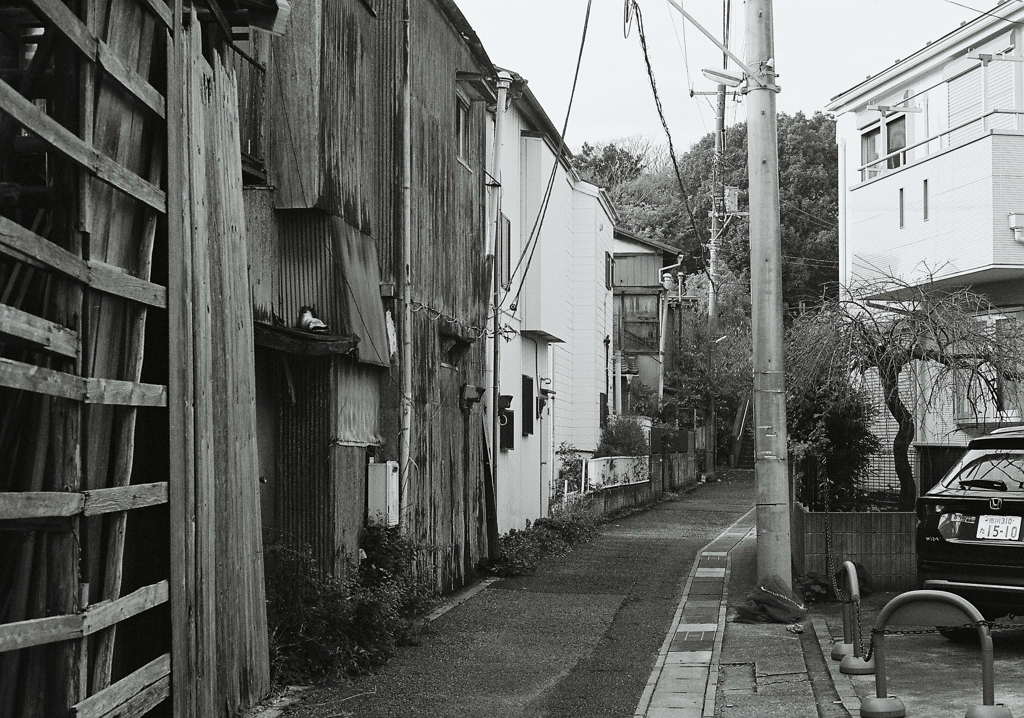 スナップ４