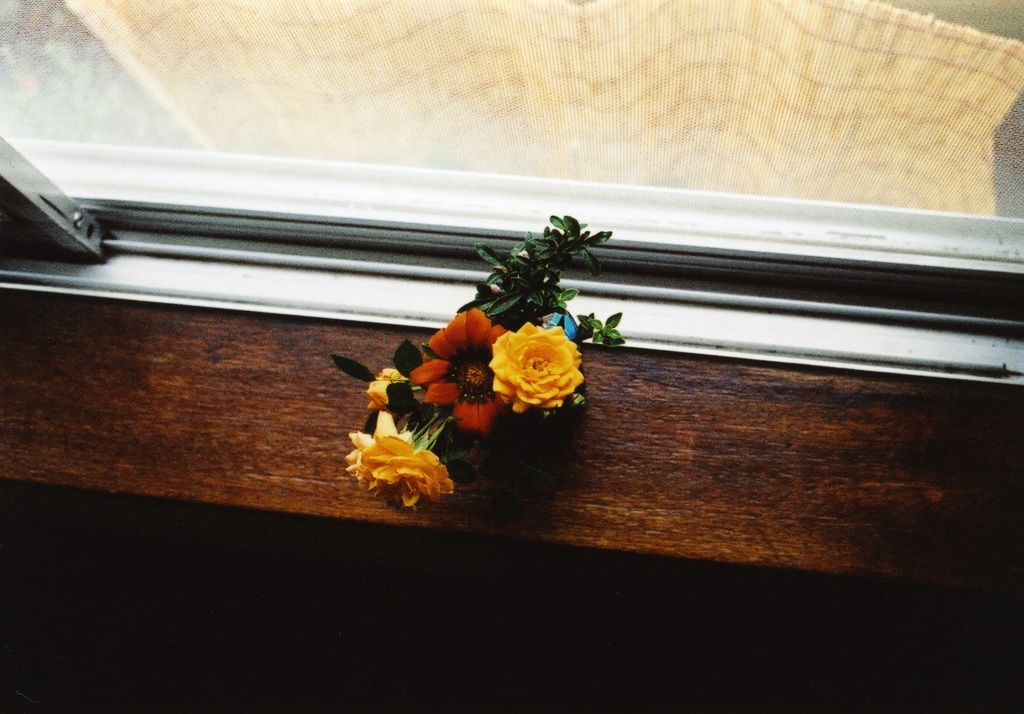 窓辺の花