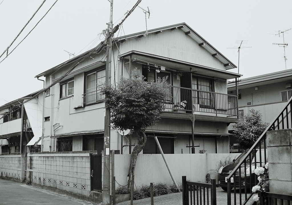 snap 6