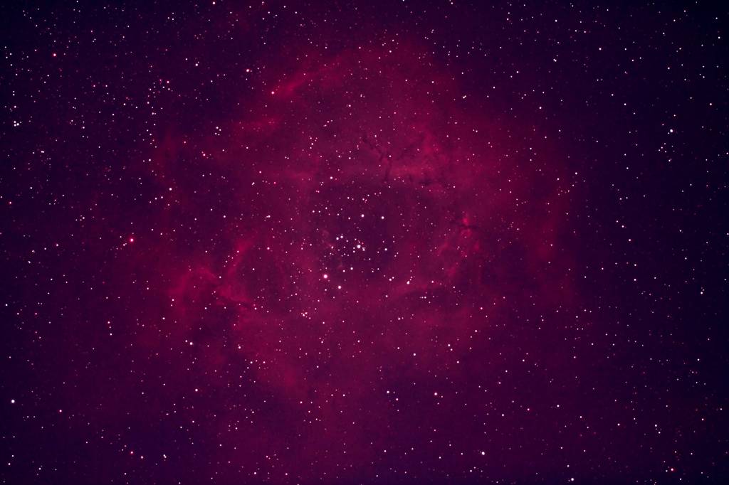 バラ星雲