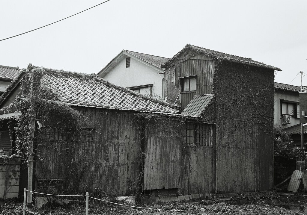 snap 5