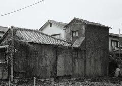 snap 5