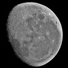 更待月 2023年3月11日