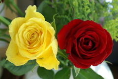 黄と赤の薔薇