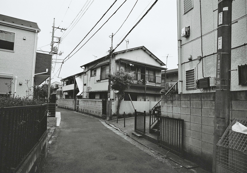 snap 3
