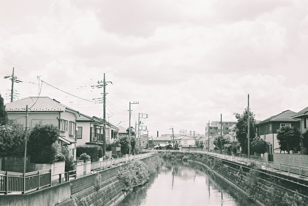 橋の上から