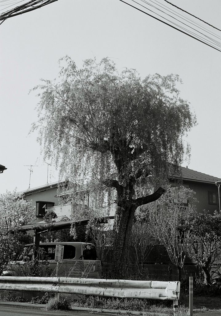 snap 1