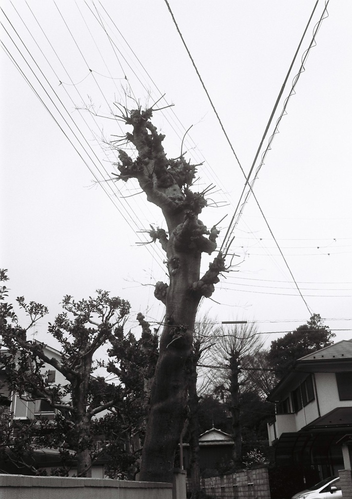 snap 6