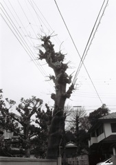 snap 6