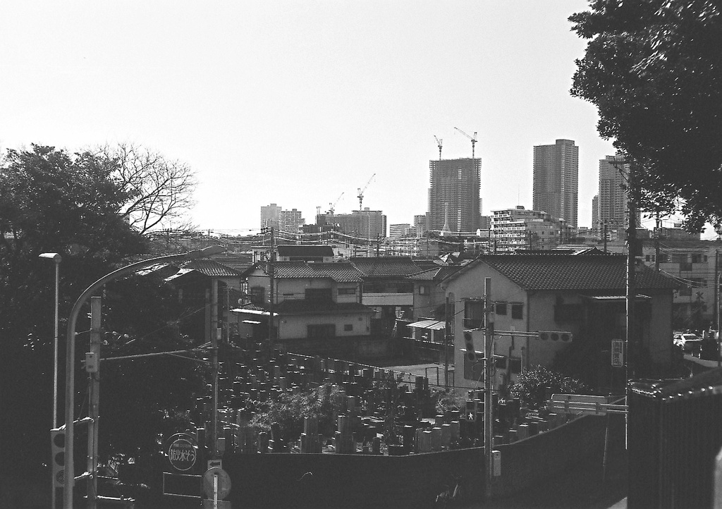 墓地