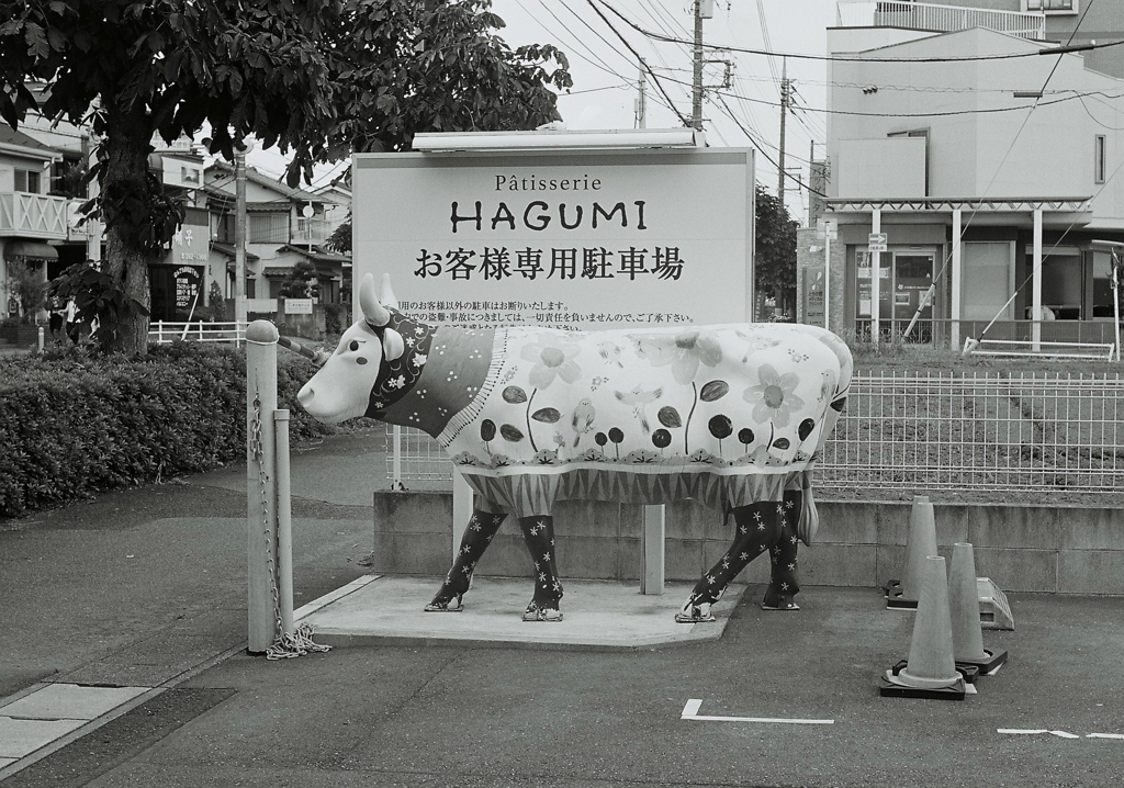 snap 6