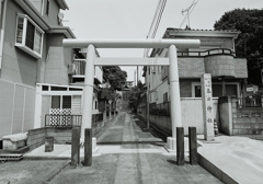 snap 6
