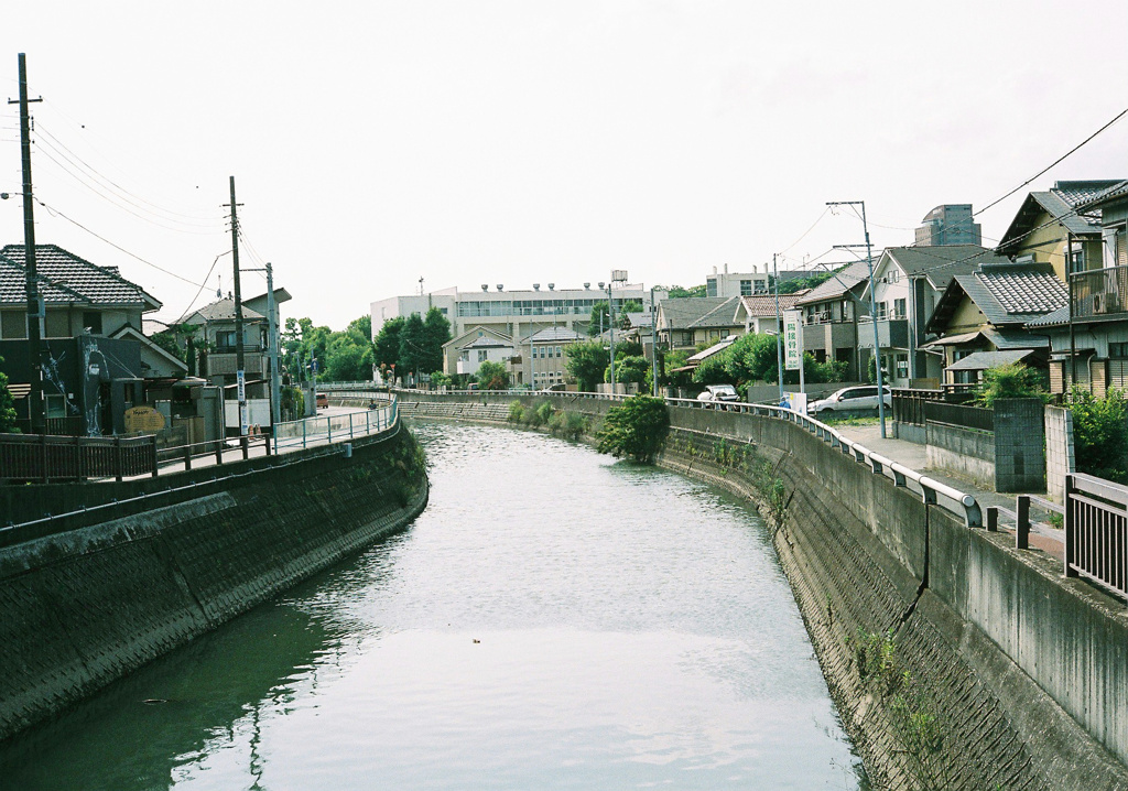 真間川