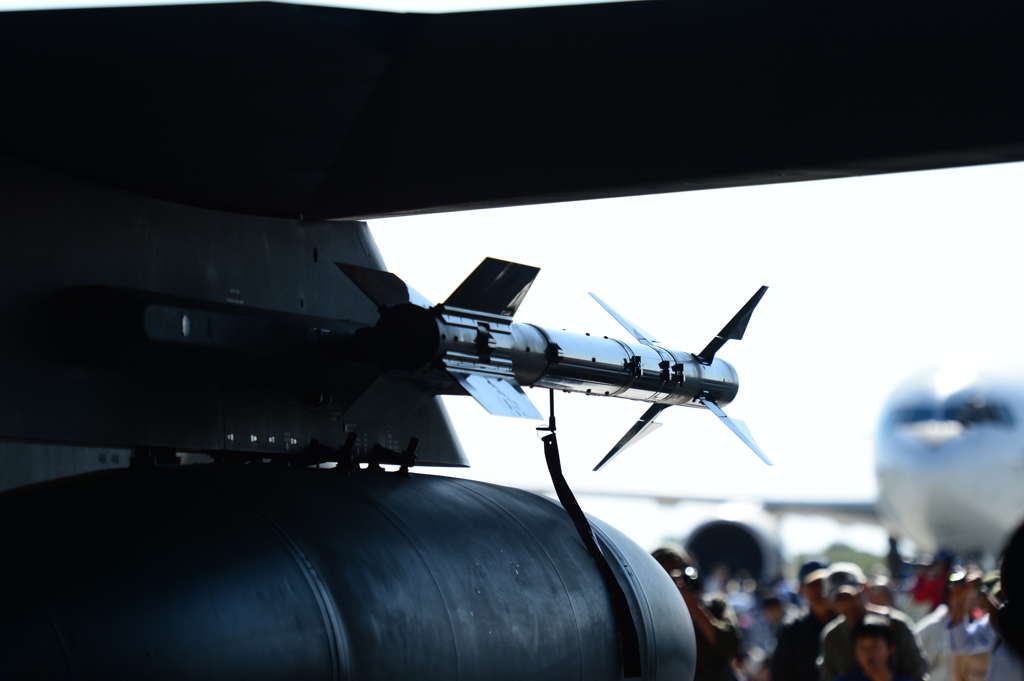 2015岐阜基地航空祭[8]