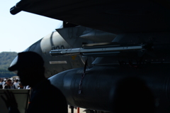 2015岐阜基地航空祭[6]