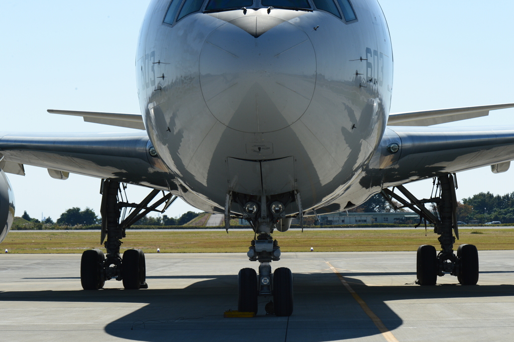 2015岐阜基地航空祭[10]