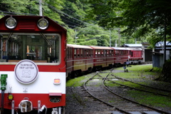 大井川鉄道 井川線