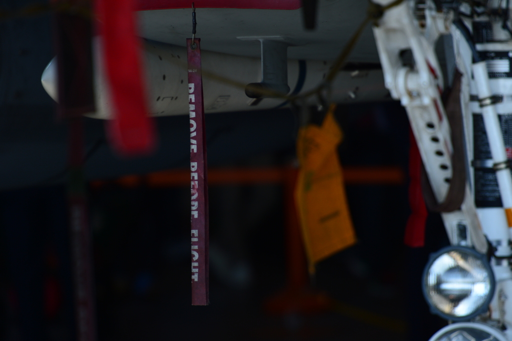 2015岐阜基地航空祭[5]
