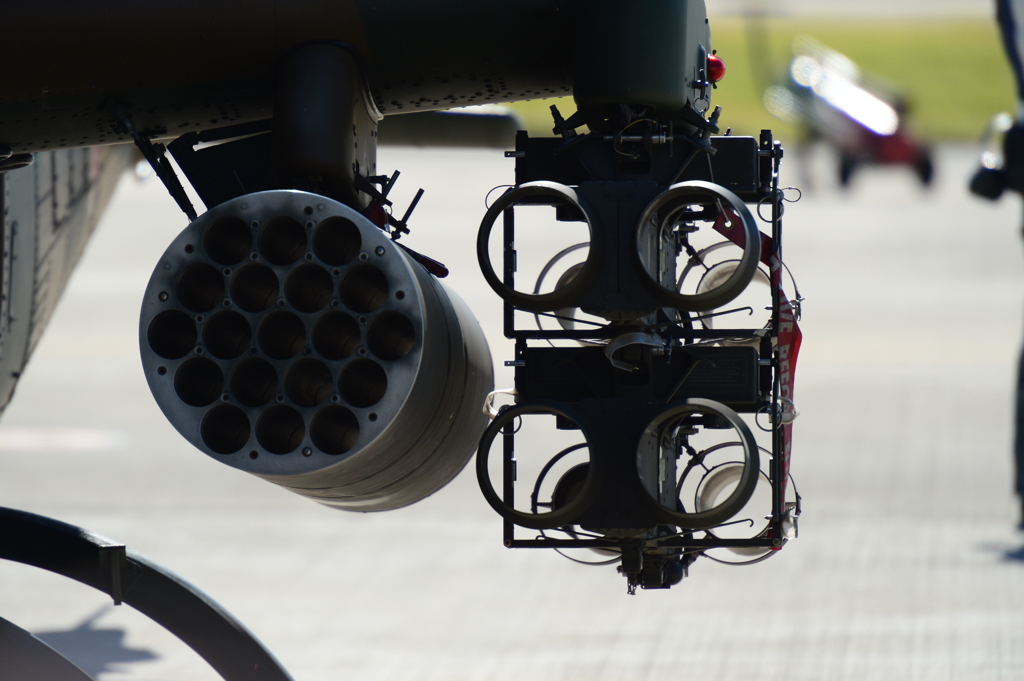 2015岐阜基地航空祭[9]