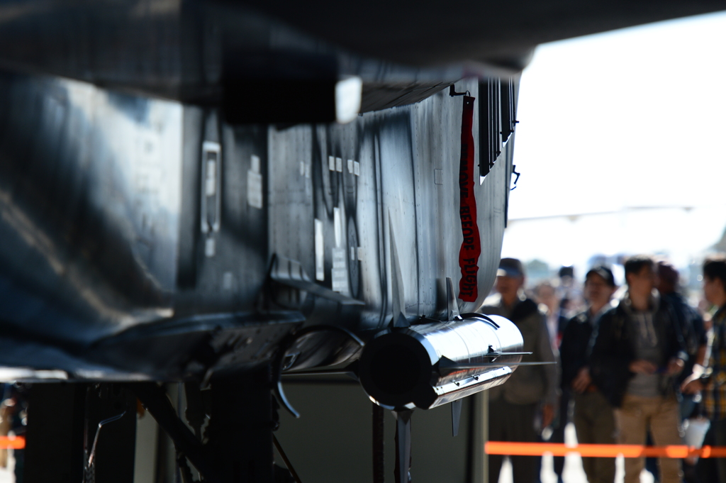 2015岐阜基地航空祭[7]