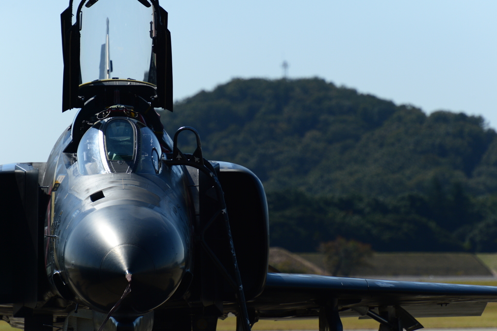 2015岐阜基地航空祭[11]