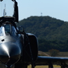 2015岐阜基地航空祭[11]