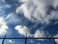 空高く