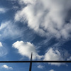 空高く