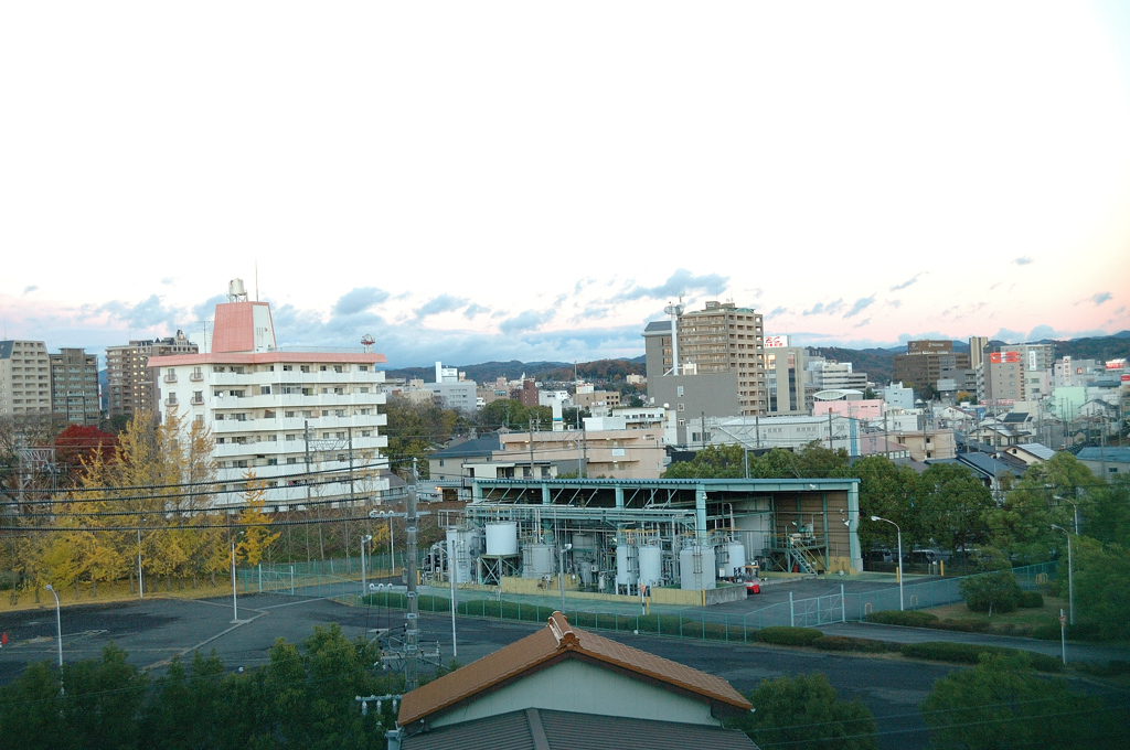DSC_0011_008