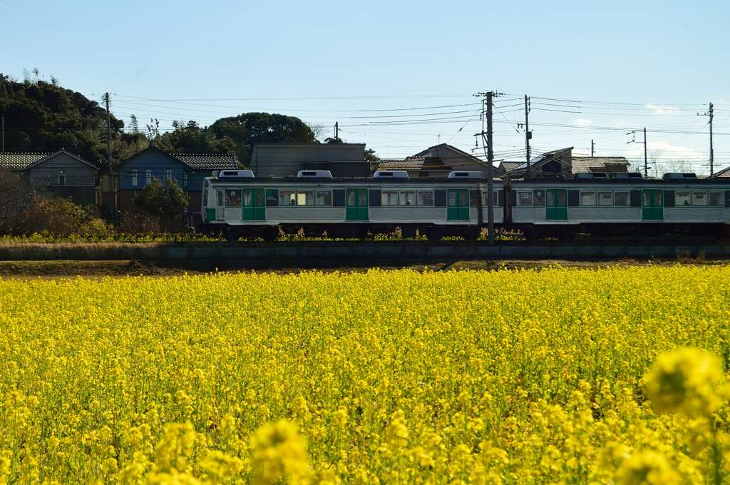 半島にて　　DSC_01500_023