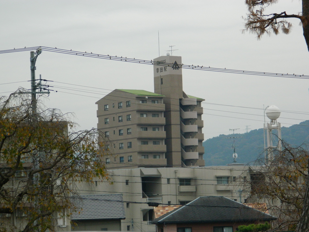 DSCN0078