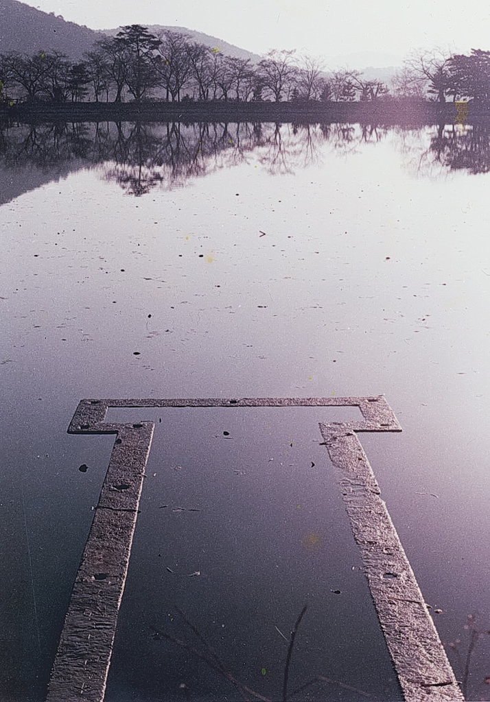 京都　広沢の池