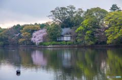 御神体の池