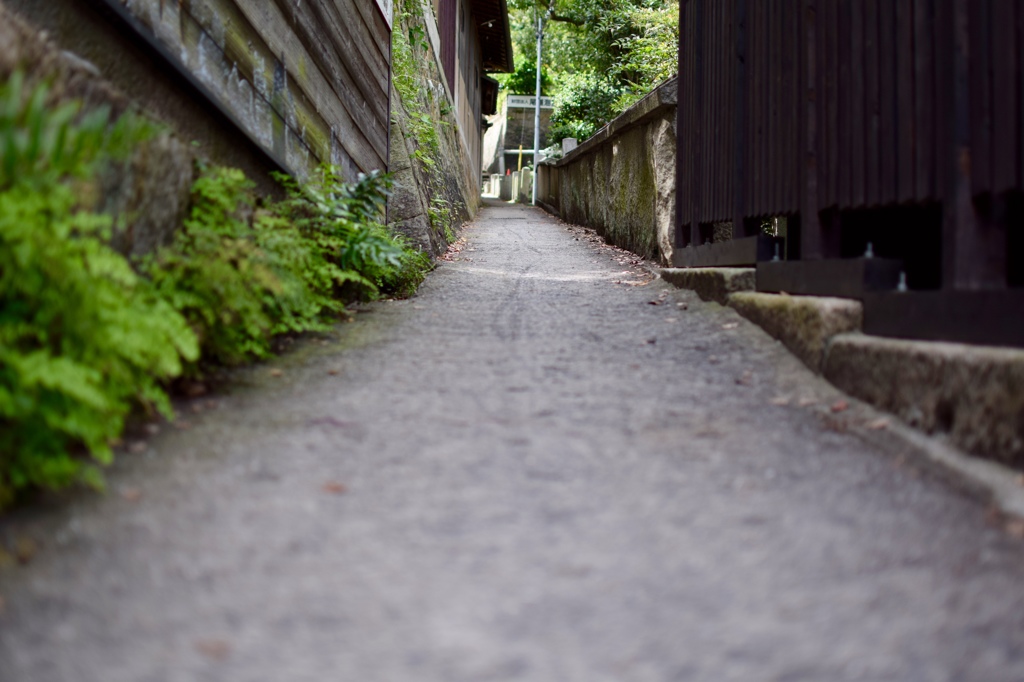 坂