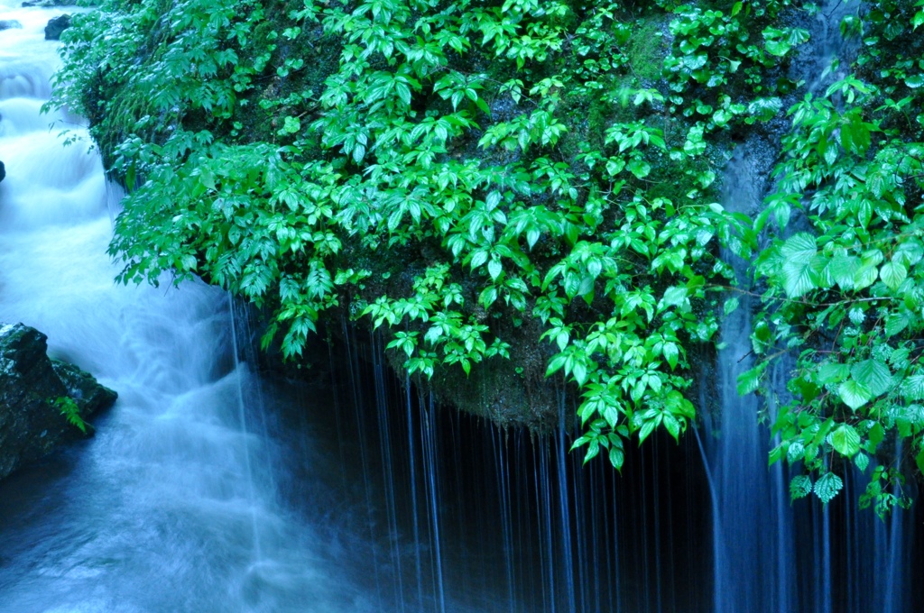 水