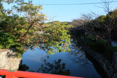 鶴岡八幡宮