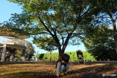 夢見ヶ崎動物公園