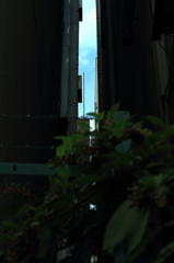 都会の空2