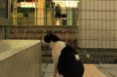 駅でのんびり