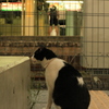 駅でのんびり