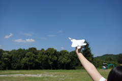 いつか大空を