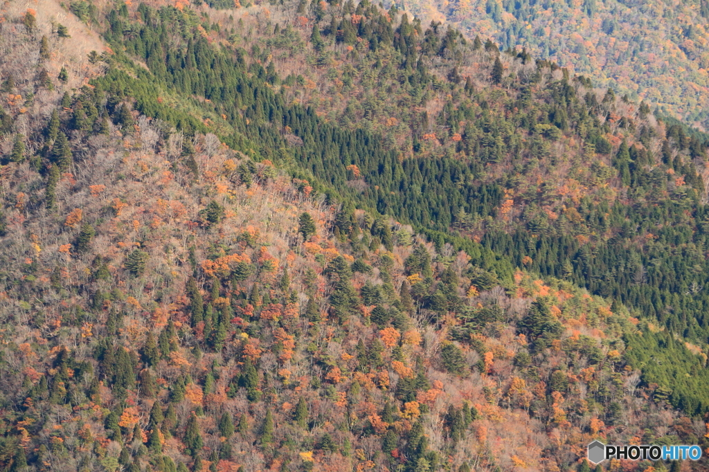 山の斜面にも秋が