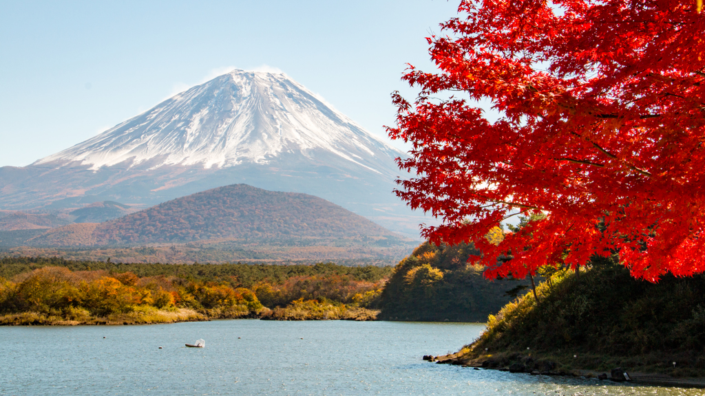 精進湖の秋