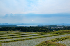 棚田のある風景