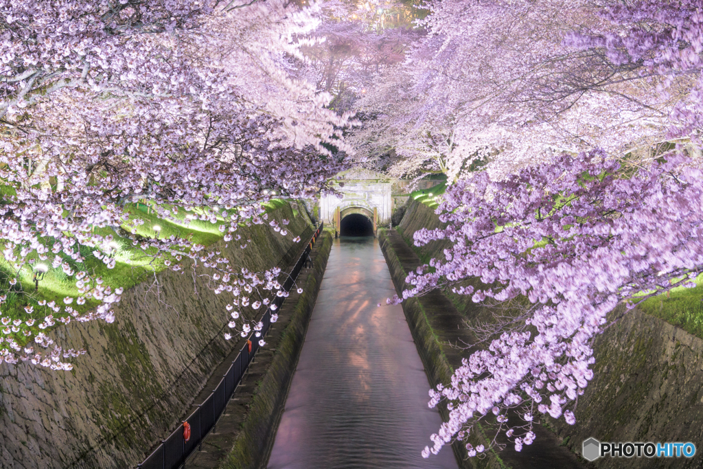 夢のようなひととき