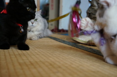 あっ･･････