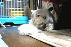 身支度