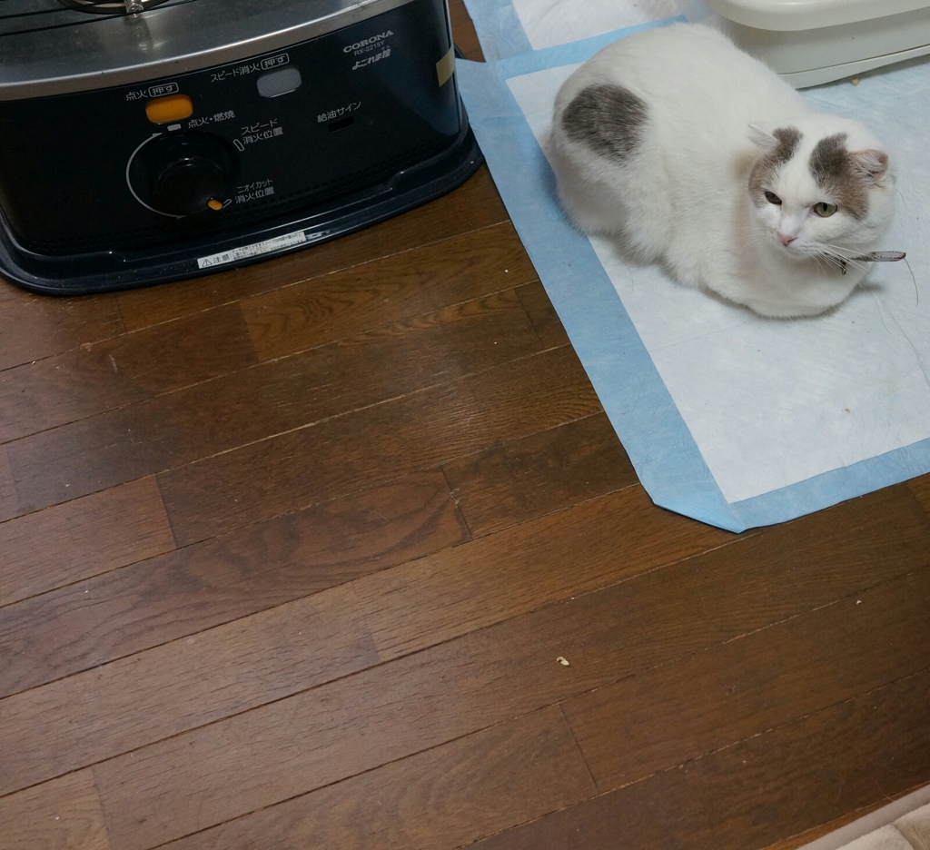 見つめる先に･･･