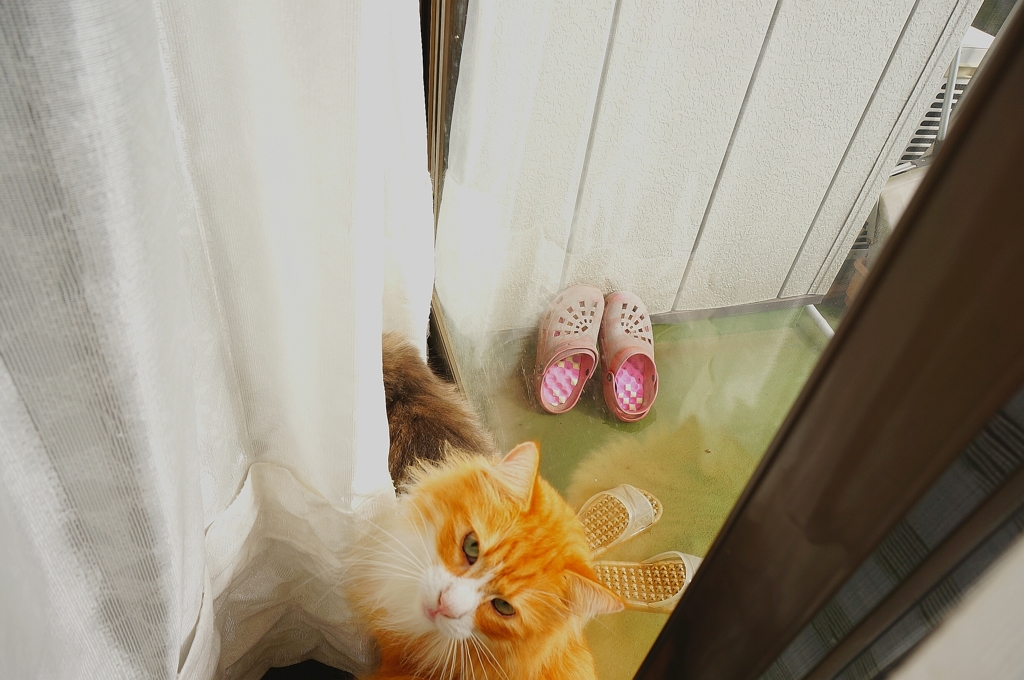 いたっ！