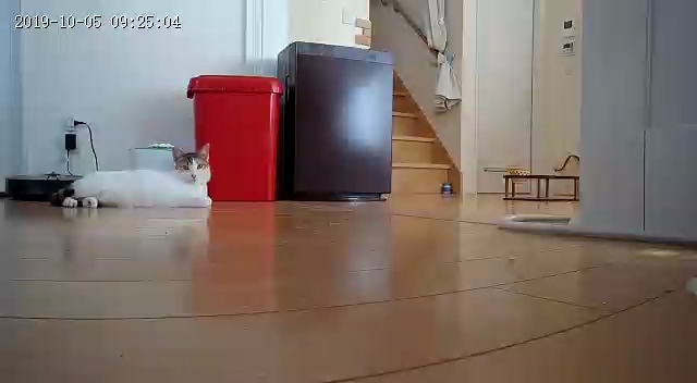 お水番？